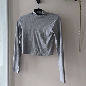 Grey vertical crop top turtleneck longsleeve